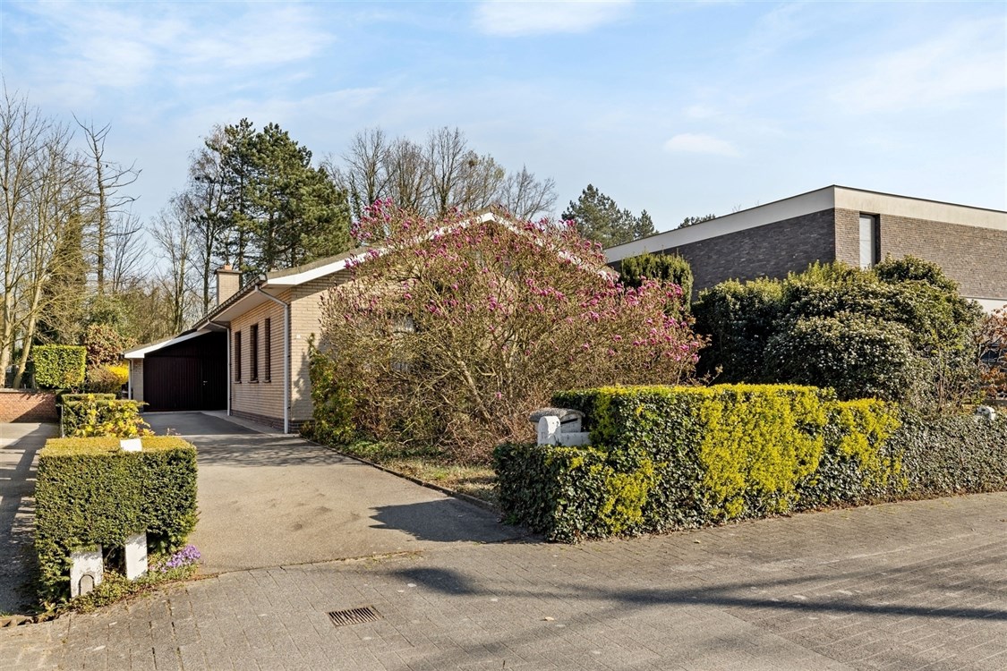 VOSDREEF 10 SINT-PAUWELS